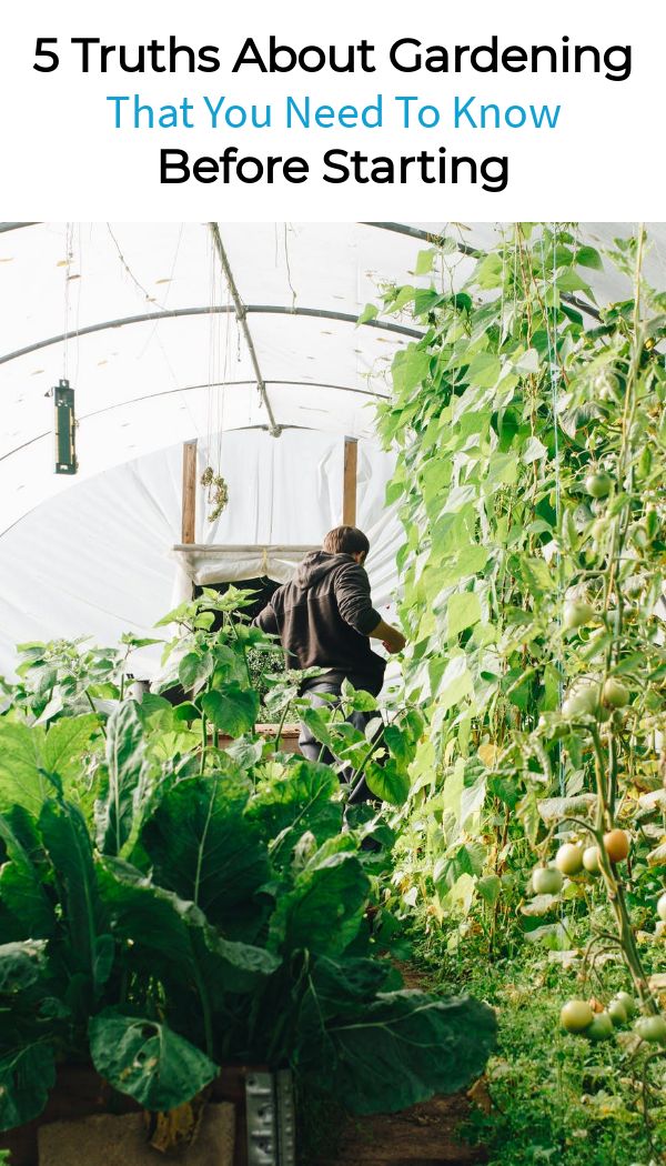 5 Truths About Gardening That You Need To Know Before Starting